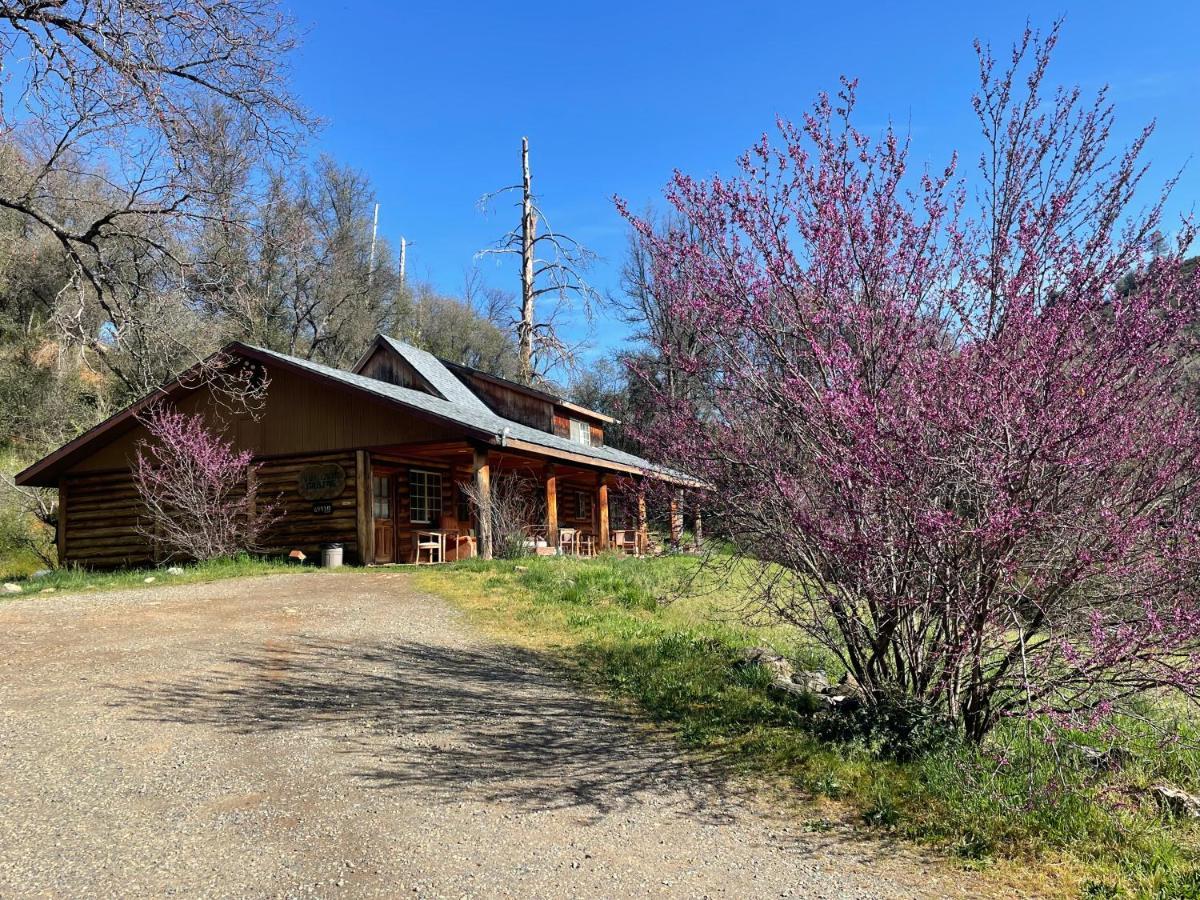 Bear Creek Cabins Midpines Buitenkant foto