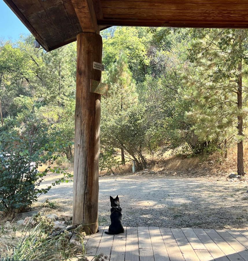 Bear Creek Cabins Midpines Buitenkant foto
